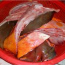 아싸가오리 이미지