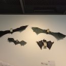 대구광역시 서구문화회관 이미지