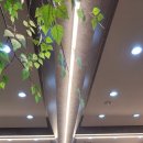 이지피티 이미지