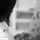 Cat garden 이미지