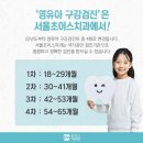 서울초이스치과의원 이미지