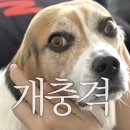없음 네이버블로그