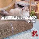 (주)루시펫코리아 | 오케이펫코리아 탱글이 고양이 스크래쳐 체험후기｜곡선형 묘체공학·고밀도 친환경· 다묘가정 대형...