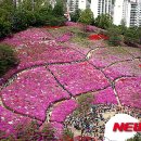 책나라