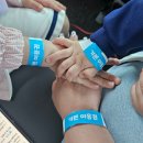 라니핑퐁 | 경주 실내놀이터, 다양하게 놀 수 있는 경주 키즈카페[히어로플레이파크 경주2호점]
