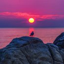 소소한향기 이미지