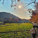 문화산책코스 이미지