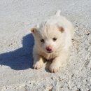 동미농장 이미지