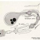 24시 핸즈동물의료센터 이미지