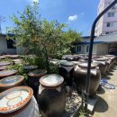 프린세스 골프클럽 이미지