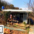 장인농장 이미지