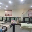 멍냥하숙집 이미지