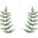 테라스파크 콘서트 이미지