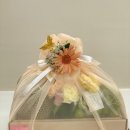 유투프로 | 첫인사 선물 추천, 센스 터지는 과일바구니가 쨩 🍋🍓🍏 / 문정 정담향 내돈내산 후기