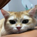 맛나감자탕 (율하점) | 김해 아울렛 맛집 맛나감자탕 율하점 놀이방 있음