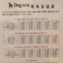 Dog차지 이미지