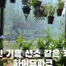 백남준로2 이미지