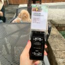 슬로우팜체험펜션 | 이수미팜베리 농가레스토랑 카페 펜션 거창 애견동반 식당 가본 후기