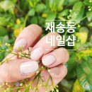 블루네일&속눈썹 이미지