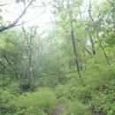 와룡주차장 이미지