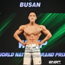 원트피티 이미지