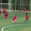 생초체육공원 축구장 이미지