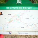용현자연휴양림 야영장 | 서산 캠핑장 추천 15000원 착한가격 용현자연유양림 야영장 캠핑 후기