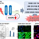 (주)한국줄기세포 이미지