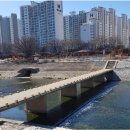 경대교 서쪽 이미지