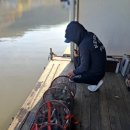 산들 낚시터 이미지