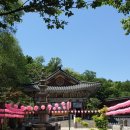 남부순환로328길 49 (4)_ 이미지