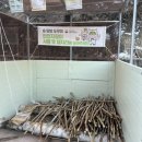 다올안전용품 | [겨울 여행지 추천] 인제자작나무숲, 소요시간 및 준비물 포토존 솔직 후기