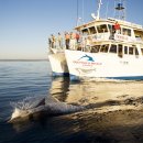 아이러브호주 이미지