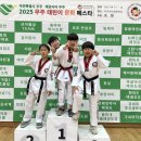 브레인태권도 이미지