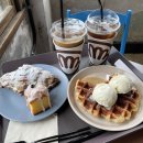 브라운핸즈 이미지