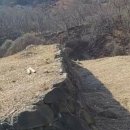 화개면사무소 이미지