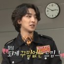 92잔나비