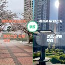 메트로행운공인중개사사무소 | [마산 양덕동] 메트로시티 1단지 vs 2단지 봄 풍경 비교! 벚꽃 명소 조경 맛집 어디? 🌸