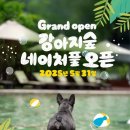 강아지 숲 이미지