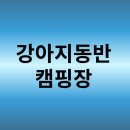 강아지동반 캠핑장 추천 : 반려견과 함께 떠나는 자연 속 힐링여행