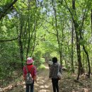 고양누리길 2코스 한북누리길 이미지