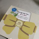 머리쿵 보호대 후기