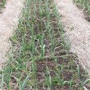 청산마을 이미지