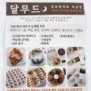 달무드(Dalmood) 이미지