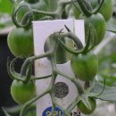 노평 농장 이미지