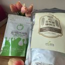 🌿 건강한 하루를 시작하는 습관, 맘스 요거요거사과 &amp; 오트밀 쉐이크 체험 후기 🍎