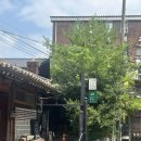 일품백송칼국수 이미지