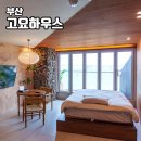 고요하우스 | 부산 감성 숙소 광안리 오션뷰 풀빌라 고요하우스 1003호 후기