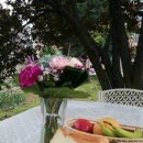 그루터기 이미지