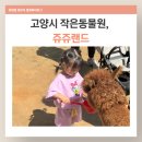 쥬쥬 | 고양 쥬쥬랜드 후기24개월 아이랑 갈만한 작은동물원